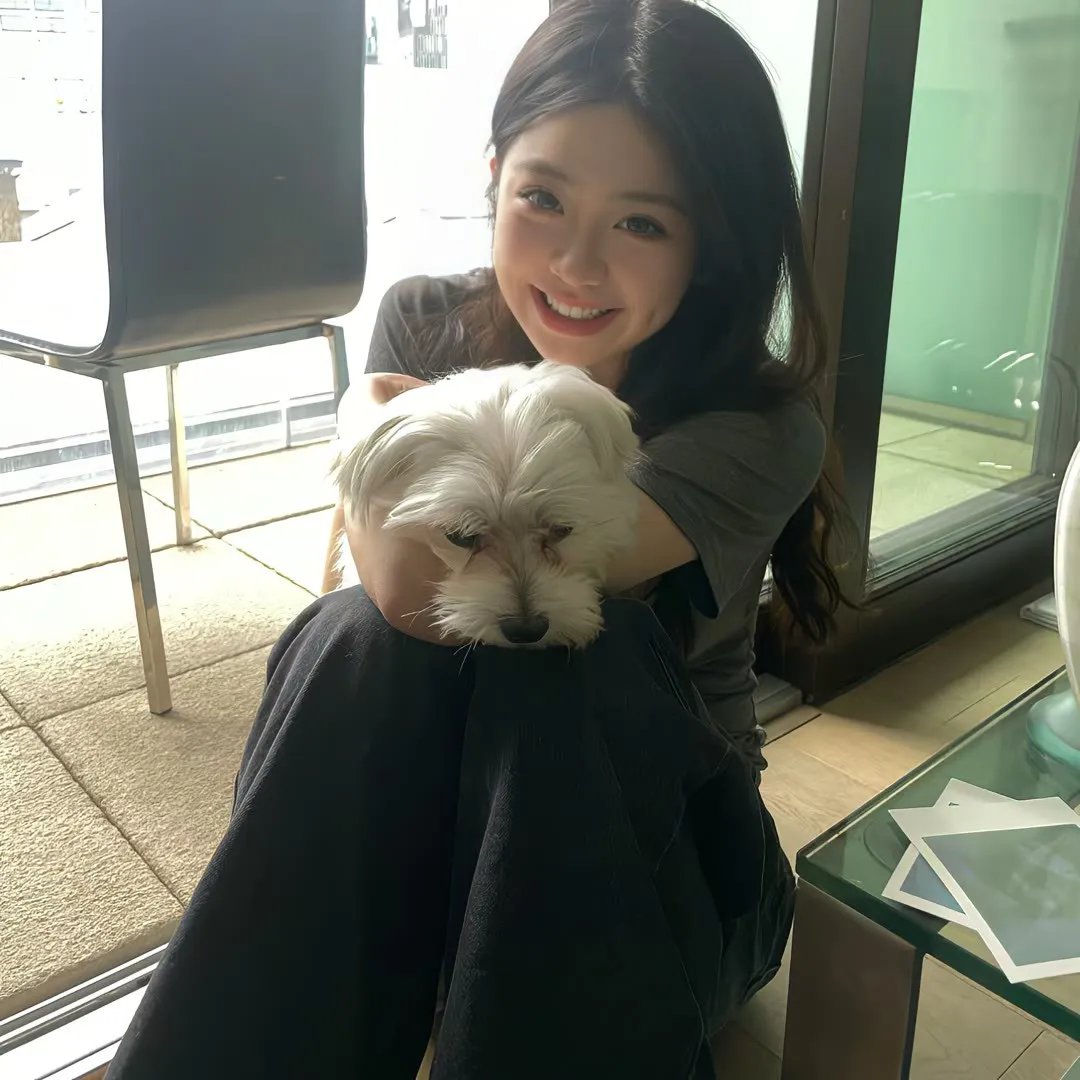 雪地黄金犬2